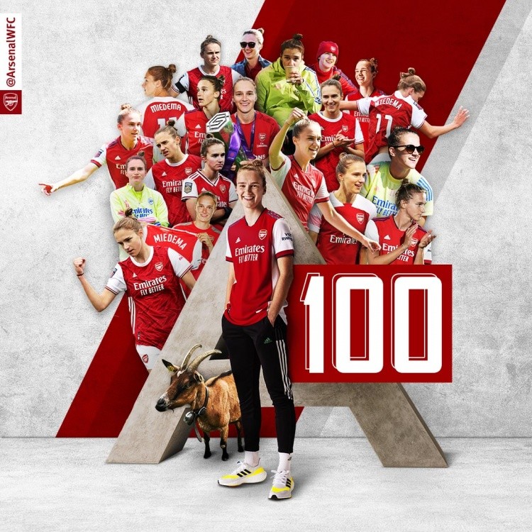 赛后明尼苏达森林狼备战欧冠，迎来里程碑细节曝光，目标明确，细节决定成败的简单介绍